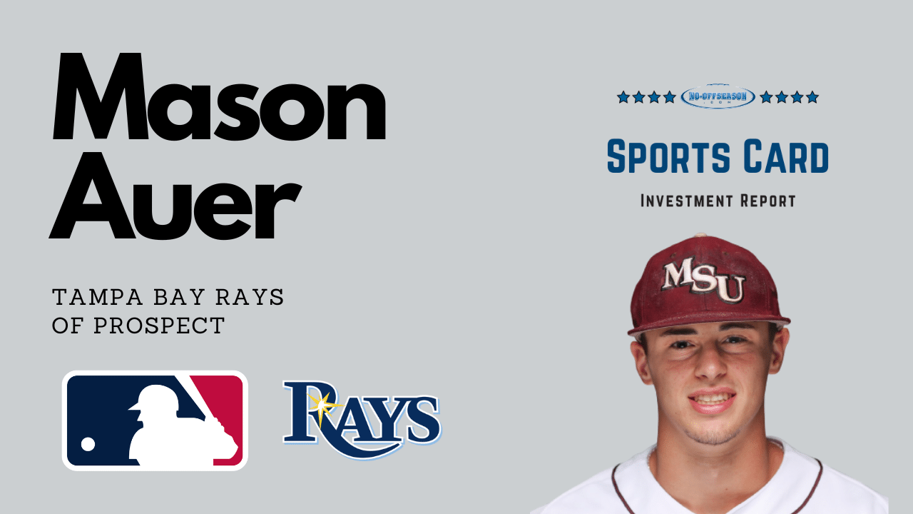 Mason Auer Investment Report Player Graphics